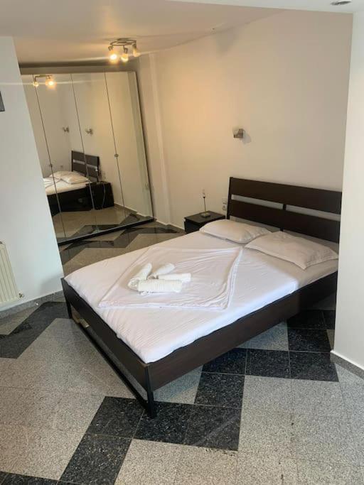 Appartement 1 Bdrm In Center *